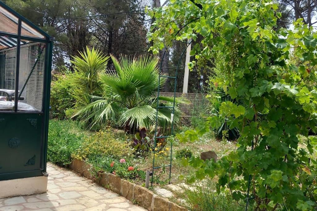 Villa Magali Grande Terrasse Vue Mer, Jardin, Proche Port Ла-Сьйота Екстер'єр фото